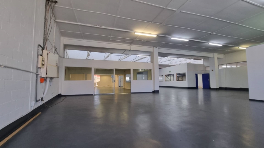 To Let commercial Property for Rent in Observatory Western Cape